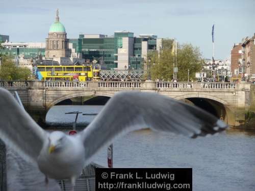 Dublin